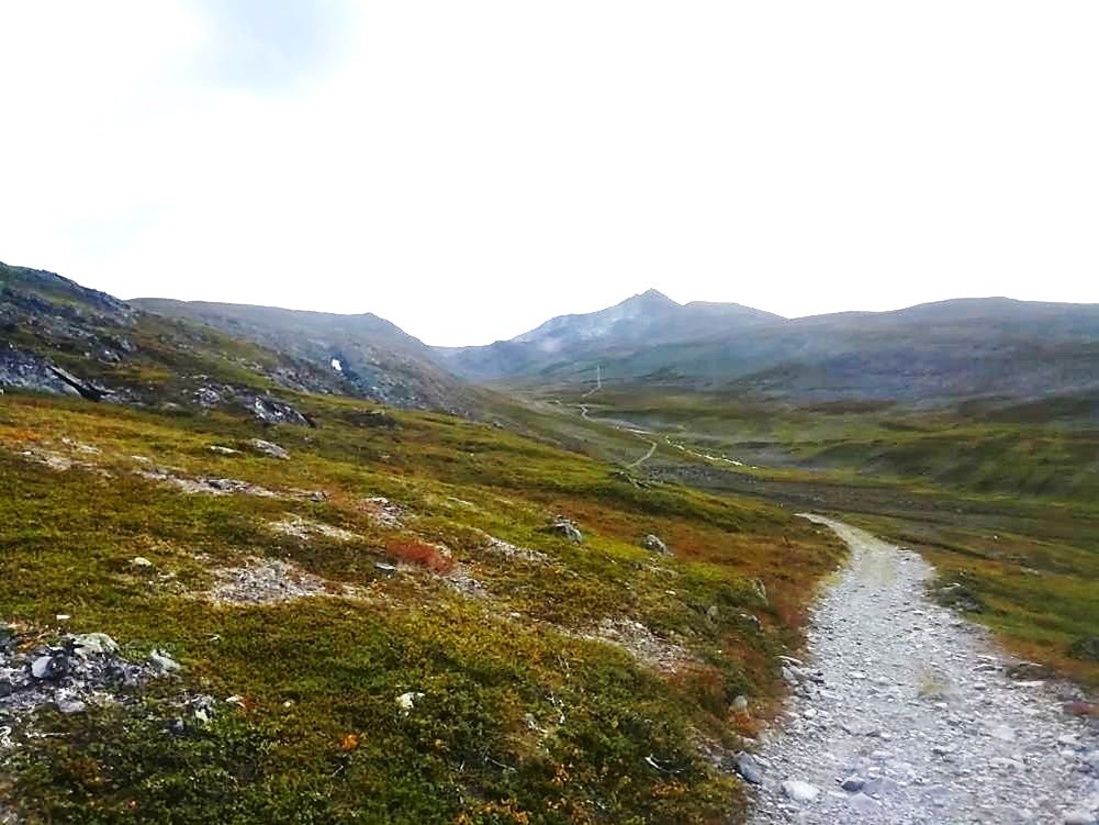 Haldde 907m – Rauhallinen ja koiraystävällinen vaellusreitti Norjassa